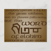 1Kepha/1Peter 1:24,25 (Vorderseite)