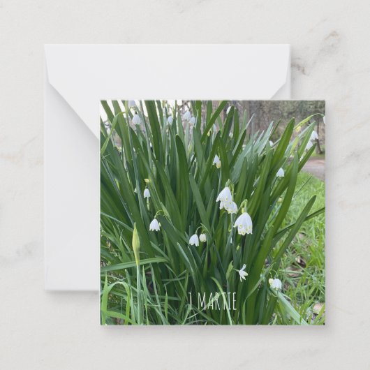 1Martie-Note-Karte Mitteilungskarte (Vorderseite)