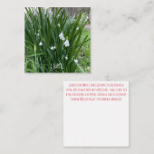 1Martie-Note-Karte Mitteilungskarte (Vorne/Hinten)