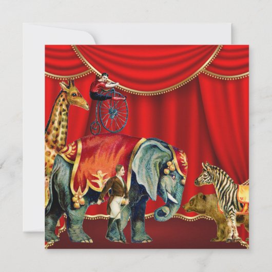 1st Birthday Party Einladung (Rückseite)