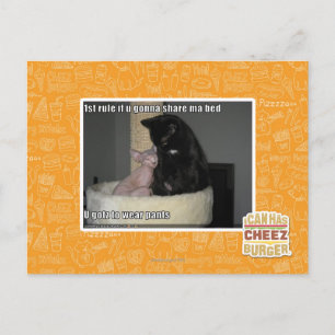 1st rule if u gonna share ma bed postkarte