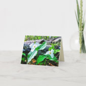 1TRILLIUMS-GREETKARTE KARTE (Vorderseite)