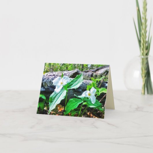 1TRILLIUMS-GREETKARTE KARTE (Vorderseite)