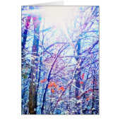 1Winter Sun Card (Vorne)