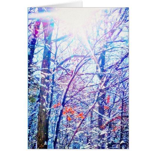 1Winter Sun Card (Vorne)