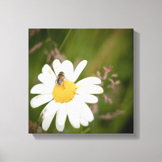 1x1 Kollektion, Blume mit Honey Bee Leinwanddruck
