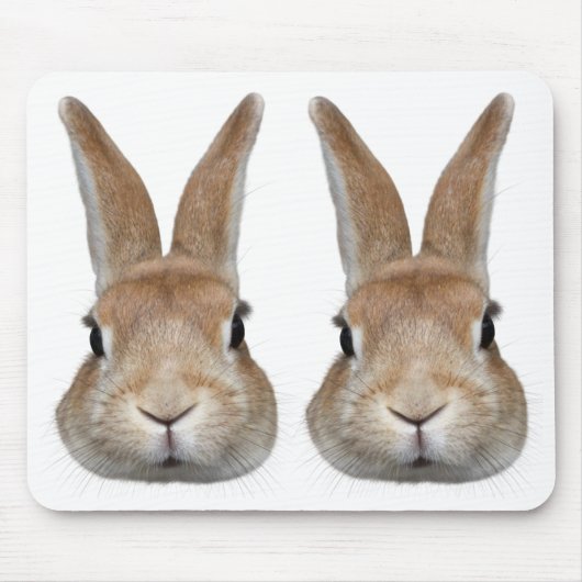 2匹のウサギの顔 MOUSEPAD (Vorne)