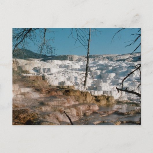 2003 - Gelbstein 01 Postkarte (Vorderseite)