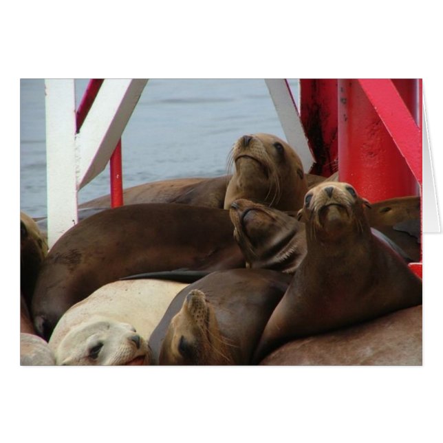 2005 August 089 (Vorderseite (Horizontal))