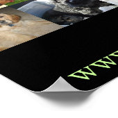 2005 Cocker Spaniel Rescue Poster (Ecke)