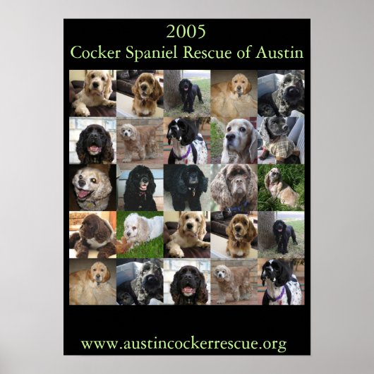 2005 Cocker Spaniel Rescue Poster (Vorne)