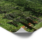 2005 Mai yosemite 198, Foto von Barbara Earl Poster (Ecke)