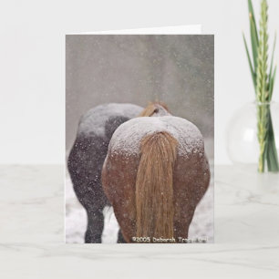 2005 Platz-Sieger des OMRH Feiertagskarte