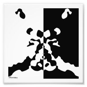 2006_0031 Notan Fotodruck