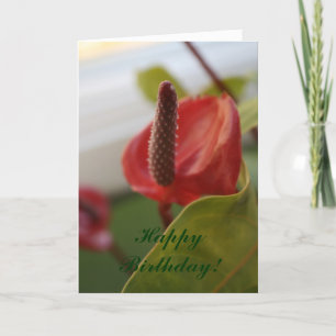 20080427_4, alles Gute zum Geburtstag! Karte