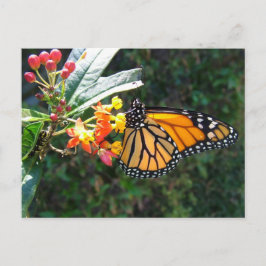 2008_0109_114022 POSTKARTE