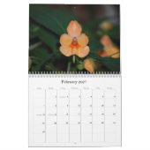 2008 Blumen-Foto-Kalender Kalender (Feb 2027)