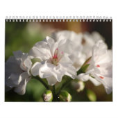 2008 Blumen-Foto-Kalender Kalender (Titelbild)