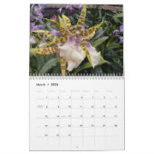 2008 ein Jahr der Orchideen Kalender (Mär 2026)