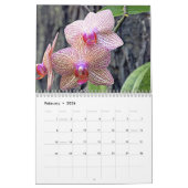 2008 ein Jahr der Orchideen Kalender (Feb 2026)