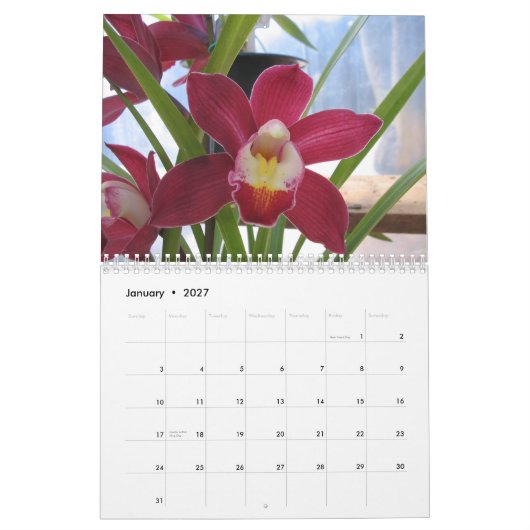 2008 ein Jahr der Orchideen Kalender (Jan 2027)