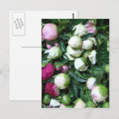 2008 Foto von Peony and Garden 135 Postkarte (Vorne/Hinten)
