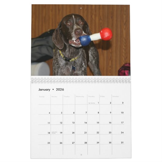 2008 Hundekalender Kalender (Jan 2026)