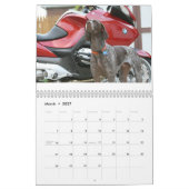 2008 Hundekalender Kalender (Mär 2027)