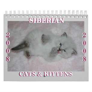 2008 sibirische Inspektion der Katzen Calendar2 Kalender