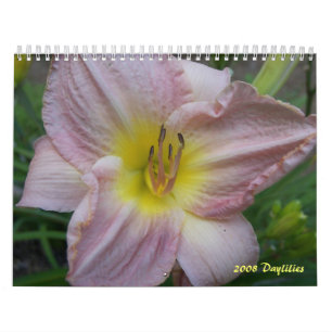 2008 Taglilie-Kalender - besonders angefertigt Kalender