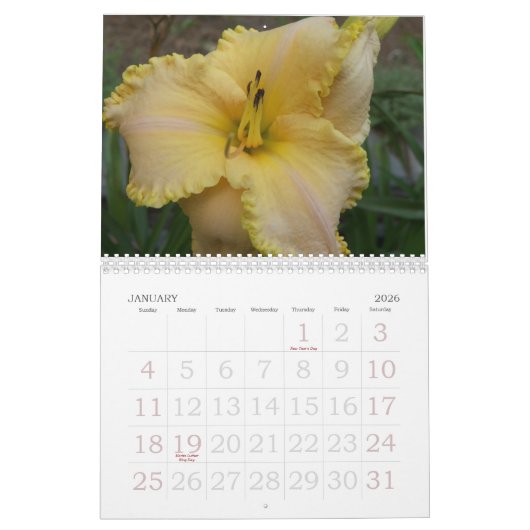 2008 Taglilie-Kalender - besonders angefertigt Kalender (Jan 2026)