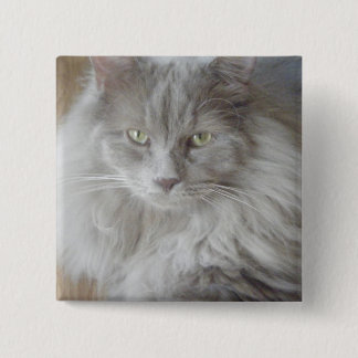 2009_09190028 BUTTON