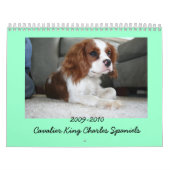 2009-2010 unbekümmerter Königcharles Kalender (Titelbild)