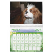 2009-2010 unbekümmerter Königcharles Kalender (Mär 2027)