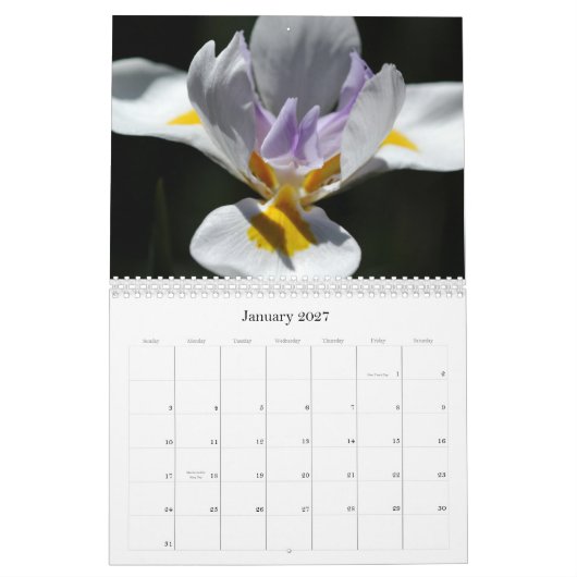 2009 - Blume Kalender (Jan 2027)