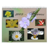 2009 - Blume Kalender (Titelbild)