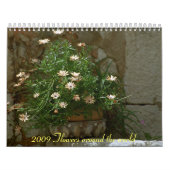2009 Blumen Kalender (Titelbild)