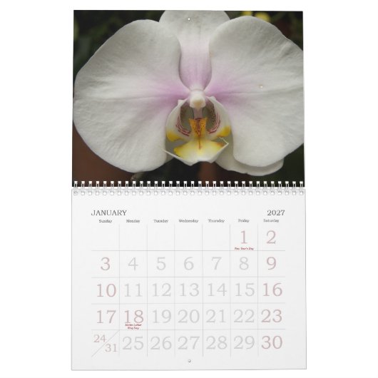 2009 Blumen Kalender (Jan 2027)