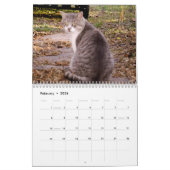 2009 den wilden Katzen-Kalender Feral Soul Inc. Kalender (Feb 2026)