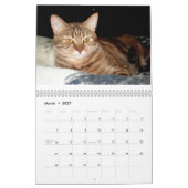 2009 den wilden Katzen-Kalender Feral Soul Inc. Kalender (Mär 2027)