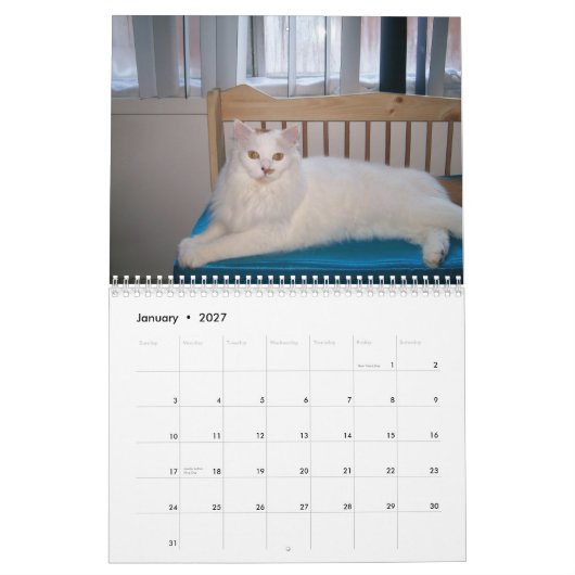 2009 den wilden Katzen-Kalender Feral Soul Inc. Kalender (Jan 2027)