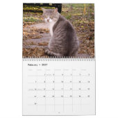 2009 den wilden Katzen-Kalender Feral Soul Inc. Kalender (Feb 2027)
