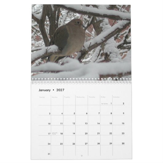 2009 der Garten-" Kalender "des Homosexuellen (Jan 2027)