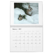 2009 der Garten-" Kalender "des Homosexuellen (Feb 2027)