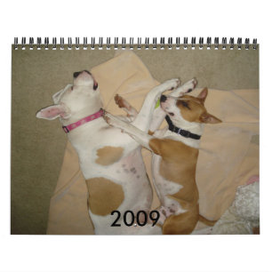 2009 Hundekalender - besonders angefertigt - C…  Kalender