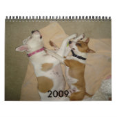 2009 Hundekalender - besonders angefertigt - C… - Kalender (Titelbild)