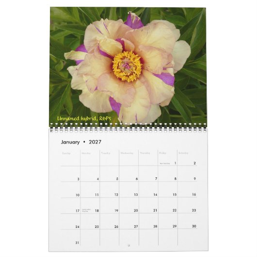 2009 Internationaler Peonkalender - Maßgeschneider Kalender (Jan 2027)