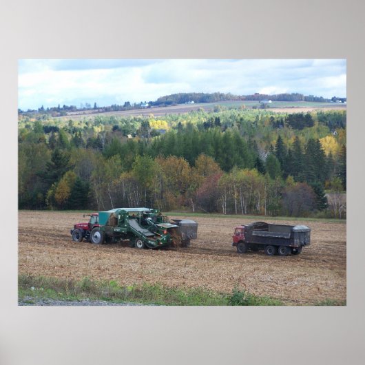 2009_Maine_Herbst_169 Poster (Vorne)