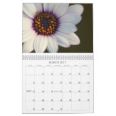 2009: Schönheit und Hoffnung Kalender (Mär 2027)