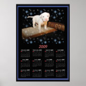 2009 Wall Poster Kalender von Luna (Vorne)